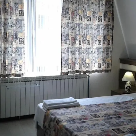 семейство петрови Penzion *